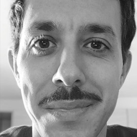Davide Pallai
