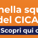 Entra a far parte della squadra del CICAP Fest